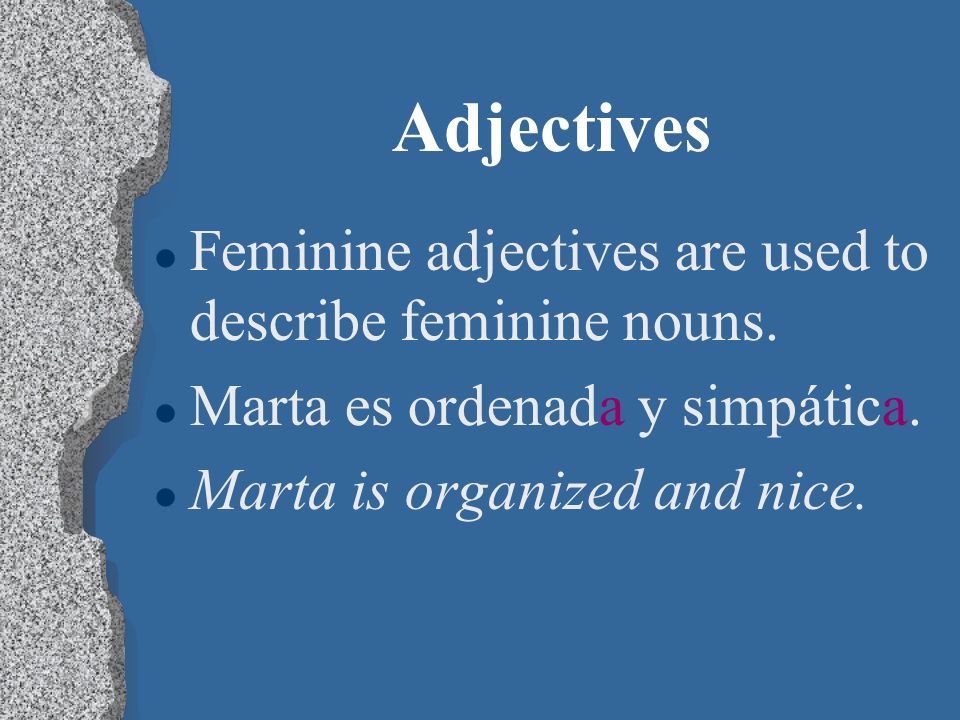 Adjectives l Masculine adjectives are used to describe masculine nouns.