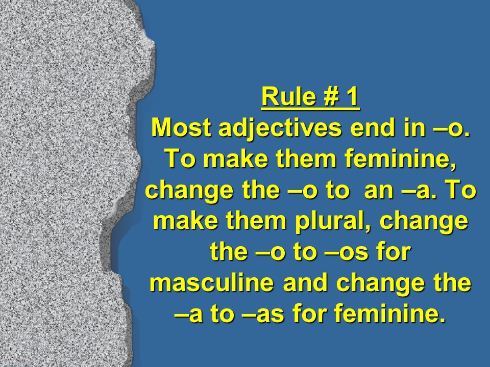 Adjectives l Feminine adjectives are used to describe feminine nouns.