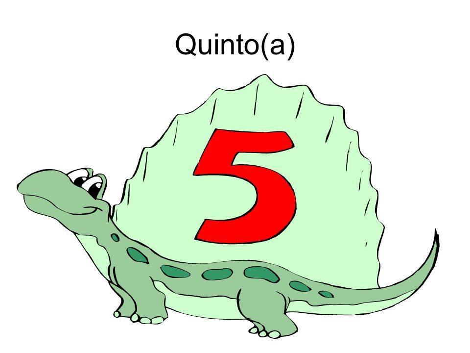 Quinto(a)