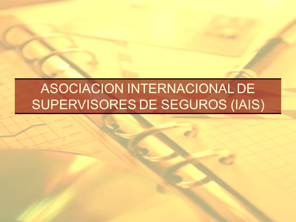 ASOCIACION INTERNACIONAL DE SUPERVISORES DE SEGUROS (IAIS)