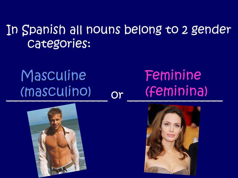 In Spanish all nouns belong to 2 gender categories: _________________ or ________________ Masculine (masculino) Feminine (feminina)