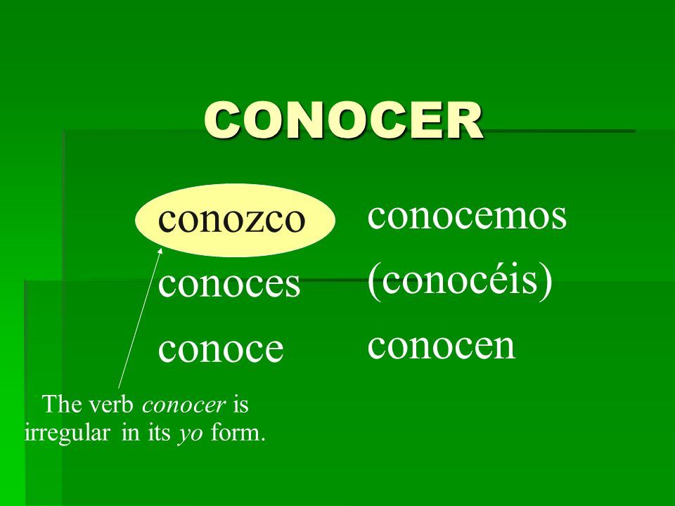 conozco conoces conoce conocemos (conocéis) conocen The verb conocer is irregular in its yo form.