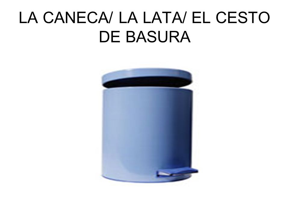 LA CANECA/ LA LATA/ EL CESTO DE BASURA