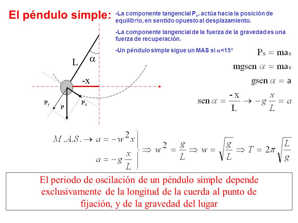 -x L P PxPx PyPy El péndulo simple: -La componente tangencial P x, actúa hacia la posición de equilibrio, en sentido opuesto al desplazamiento.