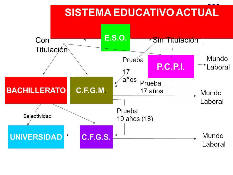 SISTEMA EDUCATIVO ACTUAL E.S.O. Sin Titulación P.C.P.I.