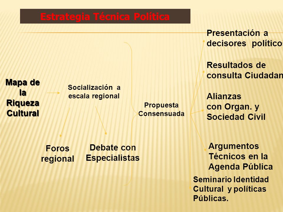 Mapa de la Riqueza Cultural Socialización a escala regional Presentación a decisores políticos Resultados de consulta Ciudadana Alianzas con Organ.