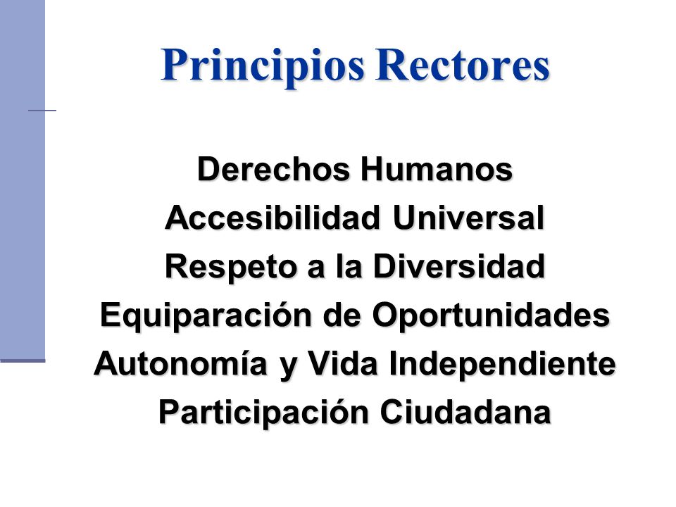 Principios Rectores Derechos Humanos Accesibilidad Universal Respeto a la Diversidad Equiparación de Oportunidades Autonomía y Vida Independiente Participación Ciudadana