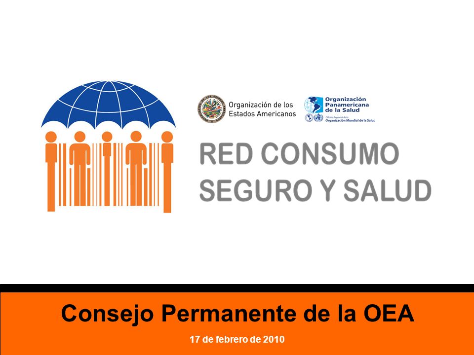 Consejo Permanente de la OEA 17 de febrero de 2010