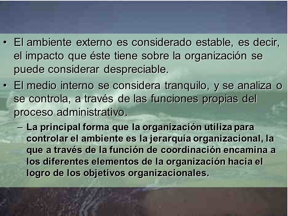El ambiente externo de la organización no se considera.El ambiente externo de la organización no se considera.