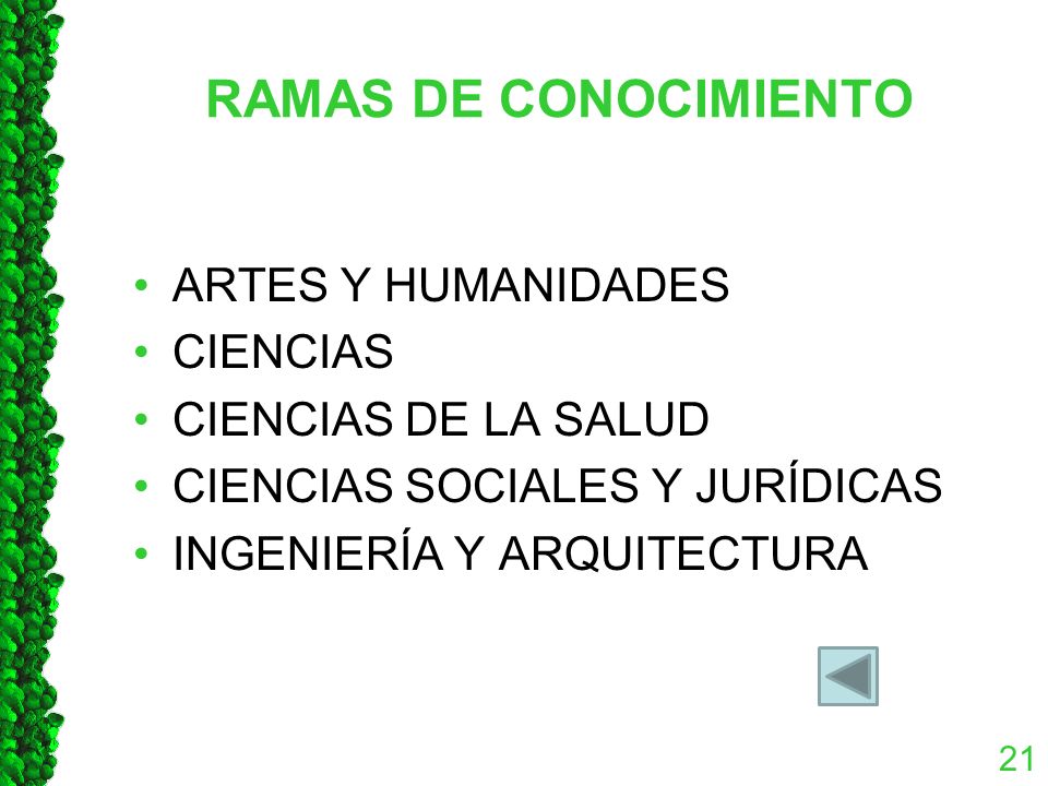 RAMAS DE CONOCIMIENTO ARTES Y HUMANIDADES CIENCIAS CIENCIAS DE LA SALUD CIENCIAS SOCIALES Y JURÍDICAS INGENIERÍA Y ARQUITECTURA 21