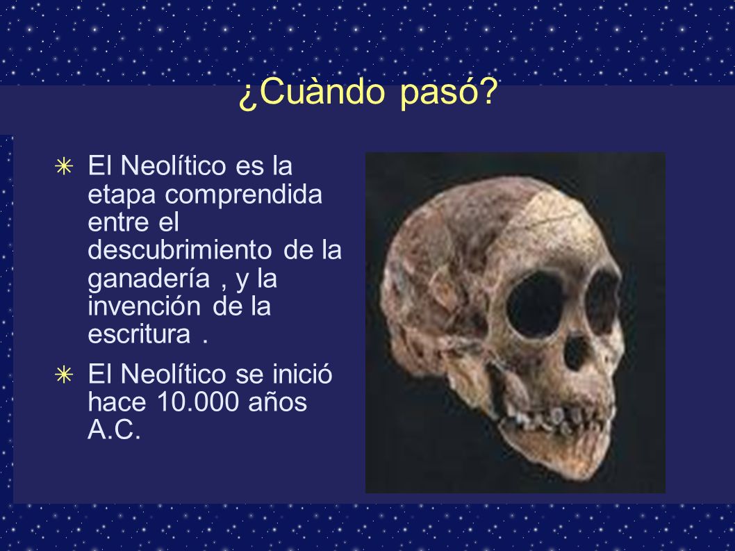 Neolítico ¿Cuándo pasó.