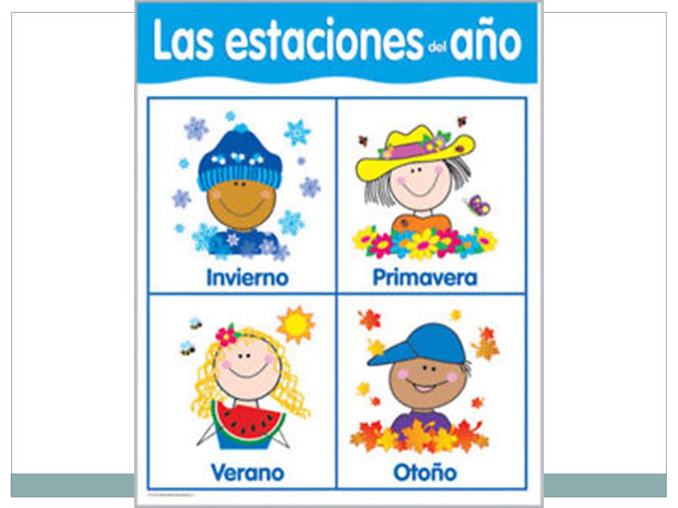 Времена года на английском языке для детей. Seasons in English. Seasons Chart. Seasons Flashcards. Seasons poster.