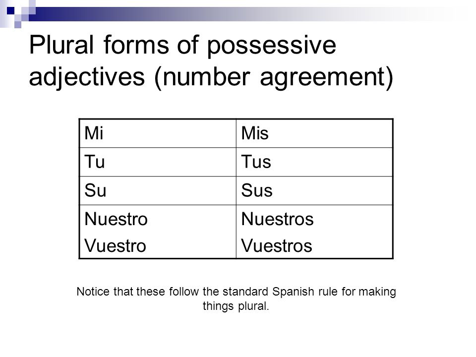 Use possessive adjectives