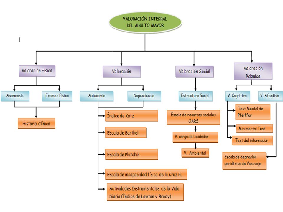 ESCALAS DE VALORACION DEL ADULTO MAYOR - Ppt Video Online Descargar