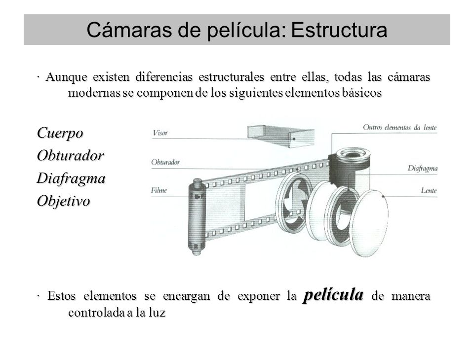 · Aunque existen diferencias estructurales entre ellas, todas las cámaras modernas se componen de los siguientes elementos básicos CuerpoObturadorDiafragmaObjetivo · Estos elementos se encargan de exponer la película de manera controlada a la luz Cámaras de película: Estructura
