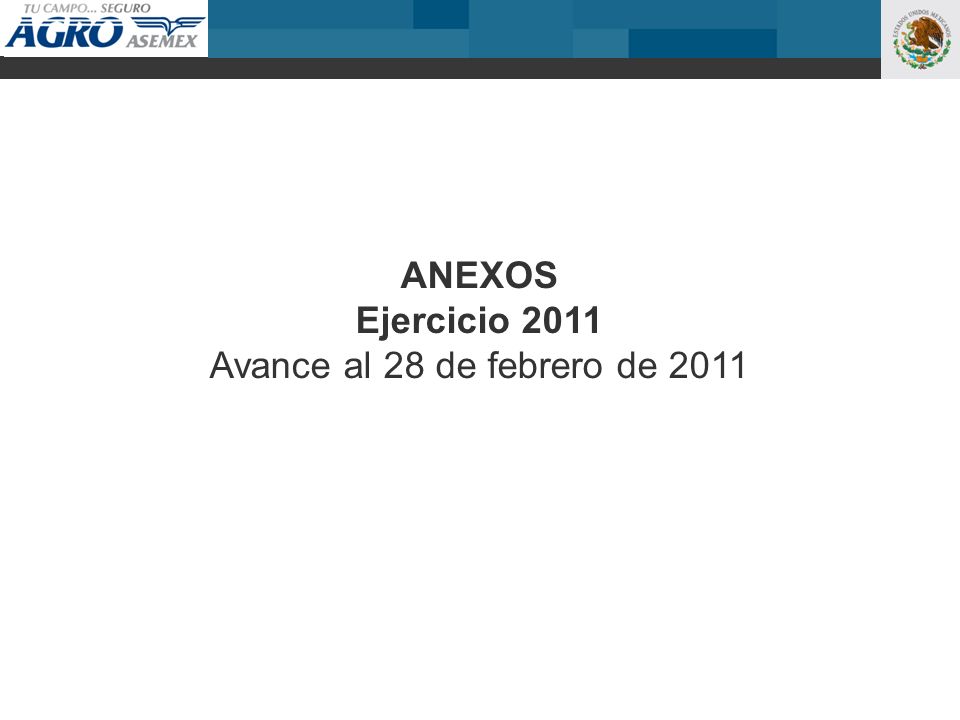 ANEXOS Ejercicio 2011 Avance al 28 de febrero de 2011