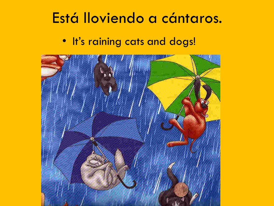 Está lloviendo a cántaros. Its raining cats and dogs!