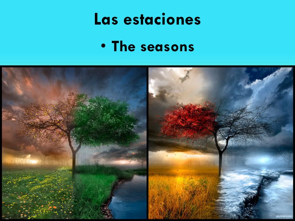 Las estaciones The seasons