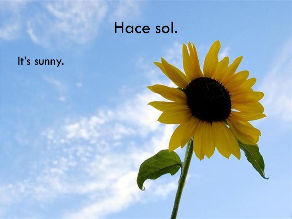 Hace sol. Its sunny.
