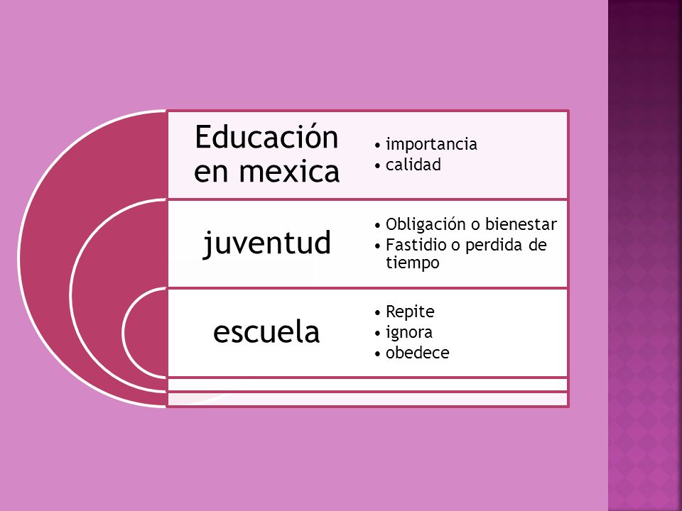 Educación en mexica juventud escuela importancia calidad Obligación o bienestar Fastidio o perdida de tiempo Repite ignora obedece