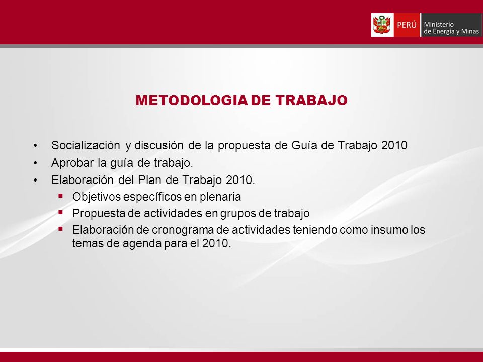 METODOLOGIA DE TRABAJO Socialización y discusión de la propuesta de Guía de Trabajo 2010 Aprobar la guía de trabajo.