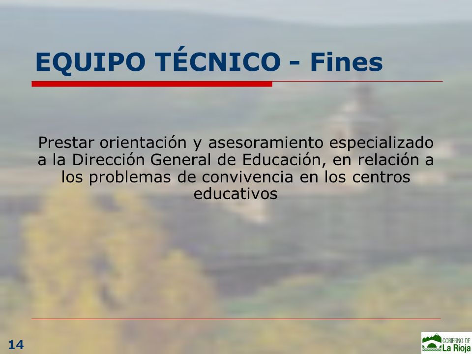 EQUIPO TÉCNICO - Fines Prestar orientación y asesoramiento especializado a la Dirección General de Educación, en relación a los problemas de convivencia en los centros educativos 14