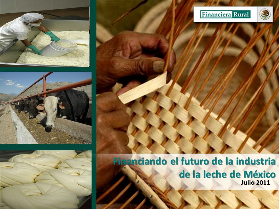 Dirección General Adjunta de Fomento y Promoción de Negocios Dirección Ejecutiva de Programas y Productos 1 Financiando el futuro de la industria de la leche de México Julio 2011