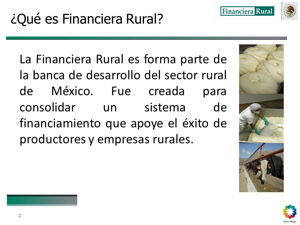 Dirección General Adjunta de Fomento y Promoción de Negocios 2 ¿Qué es Financiera Rural.