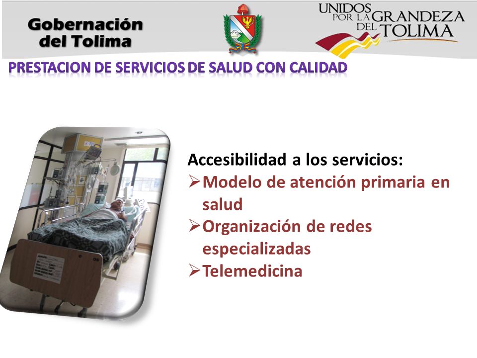 Accesibilidad a los servicios: Modelo de atención primaria en salud Organización de redes especializadas Telemedicina