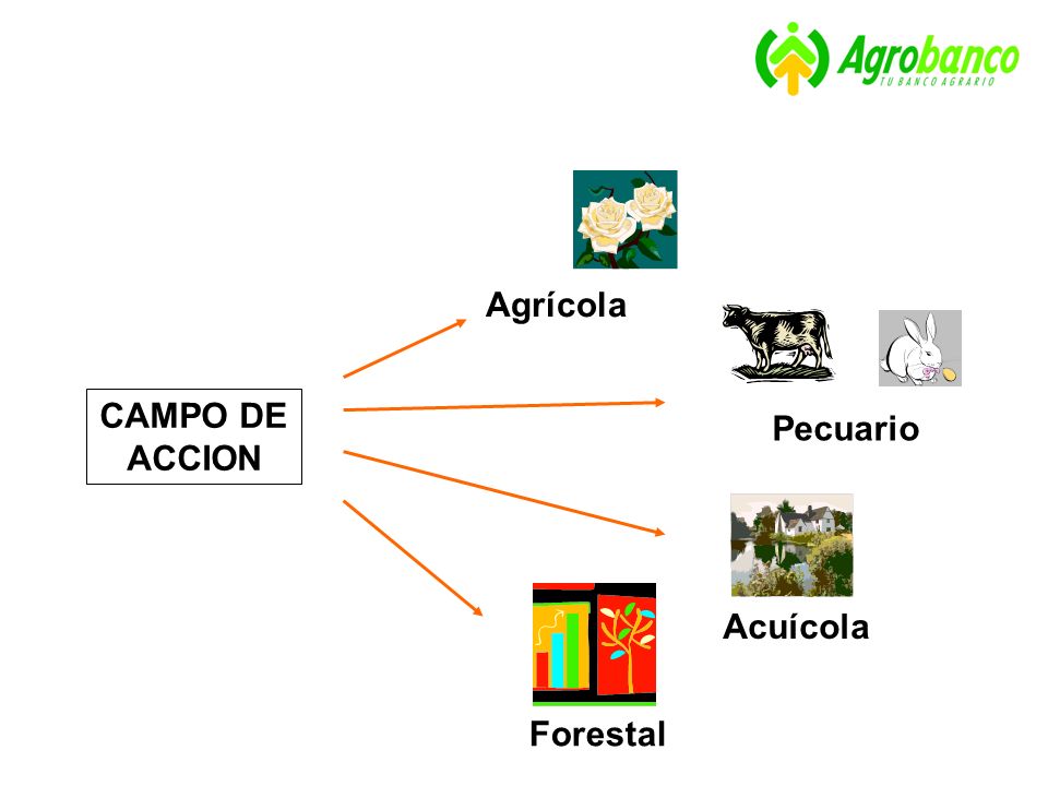 CAMPO DE ACCION Agrícola Pecuario Forestal Acuícola