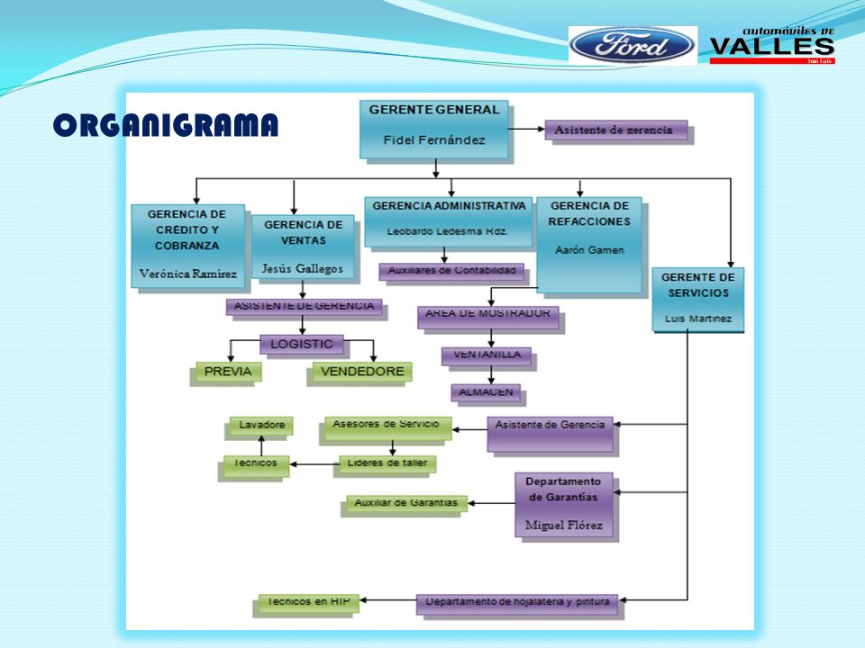 Estructura organizacional de ford company #4