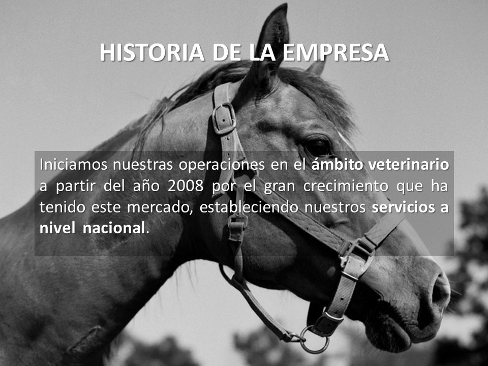 HISTORIA DE LA EMPRESA Iniciamos nuestras operaciones en el ámbito veterinario a partir del año 2008 por el gran crecimiento que ha tenido este mercado, estableciendo nuestros servicios a nivel nacional.