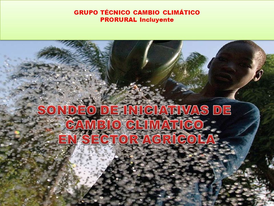 GRUPO TÉCNICO CAMBIO CLIMÁTICO PRORURAL Incluyente
