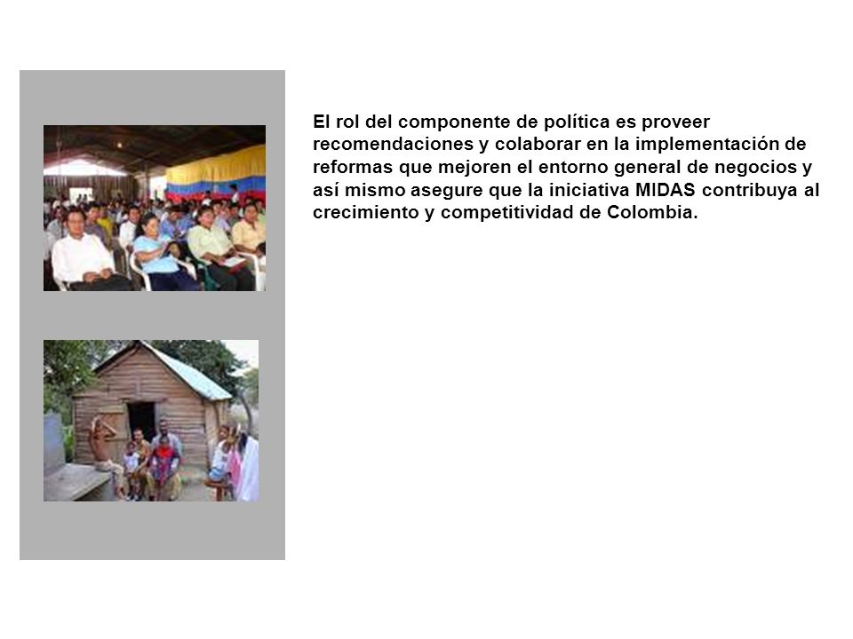 El rol del componente de política es proveer recomendaciones y colaborar en la implementación de reformas que mejoren el entorno general de negocios y así mismo asegure que la iniciativa MIDAS contribuya al crecimiento y competitividad de Colombia.