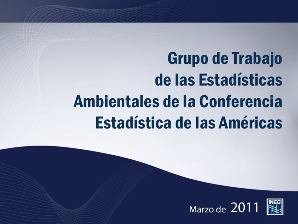 Grupo de Trabajo de las Estadísticas Ambientales de la Conferencia Estadística de las Américas