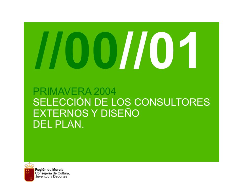 PRIMAVERA 2004 SELECCIÓN DE LOS CONSULTORES EXTERNOS Y DISEÑO DEL PLAN. //00//01