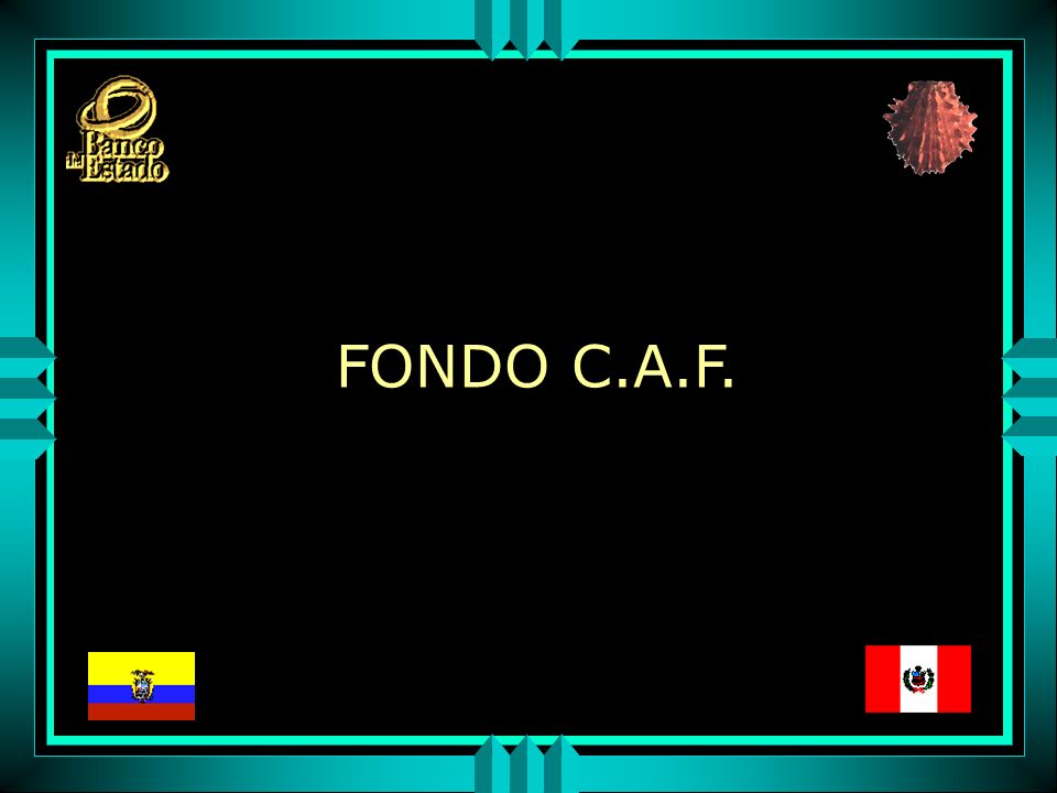 FONDO C.A.F.