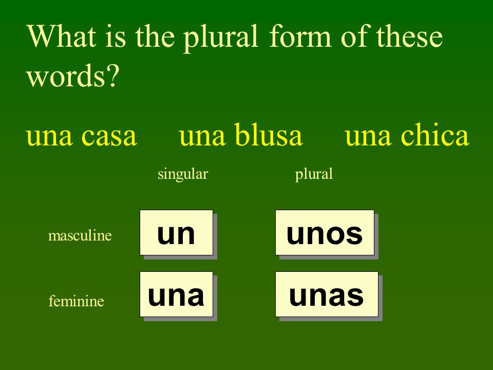 What is the plural form of these words.