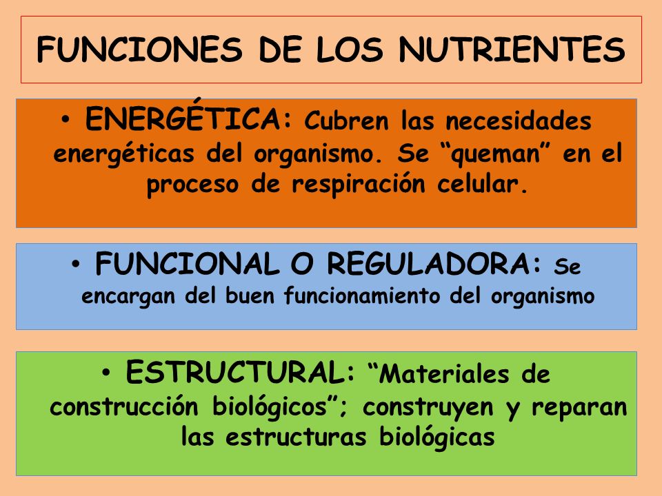 FUNCIONES DE LOS NUTRIENTES ENERGÉTICA: Cubren las necesidades energéticas del organismo.