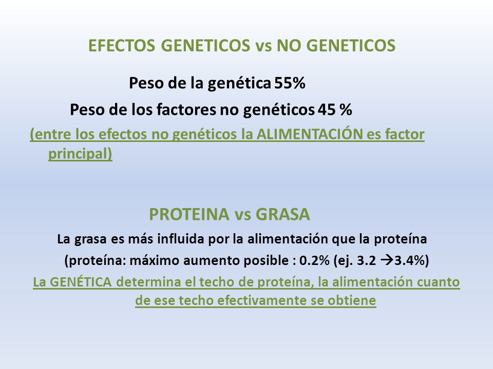 Peso de la genética 55% Peso de los factores no genéticos 45 % (entre los efectos no genéticos la ALIMENTACIÓN es factor principal) PROTEINA vs GRASA La grasa es más influida por la alimentación que la proteína (proteína: máximo aumento posible : 0.2% (ej.