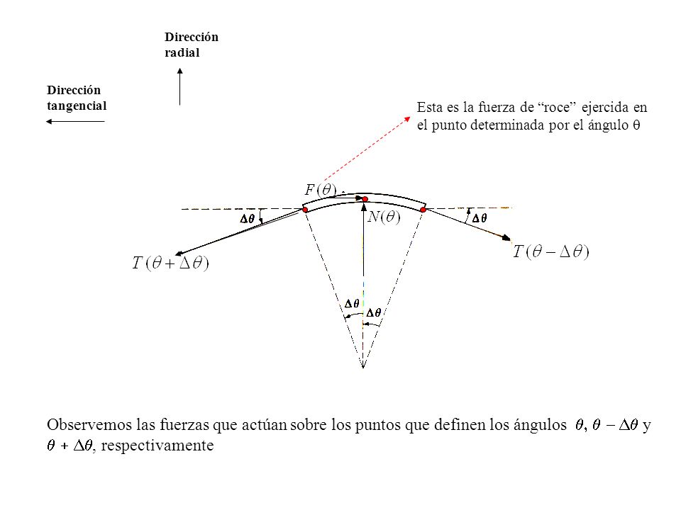 Dirección tangencial Dirección radial Observemos las fuerzas que actúan sobre los puntos que definen los ángulos y, respectivamente Esta es la fuerza de roce ejercida en el punto determinada por el ángulo