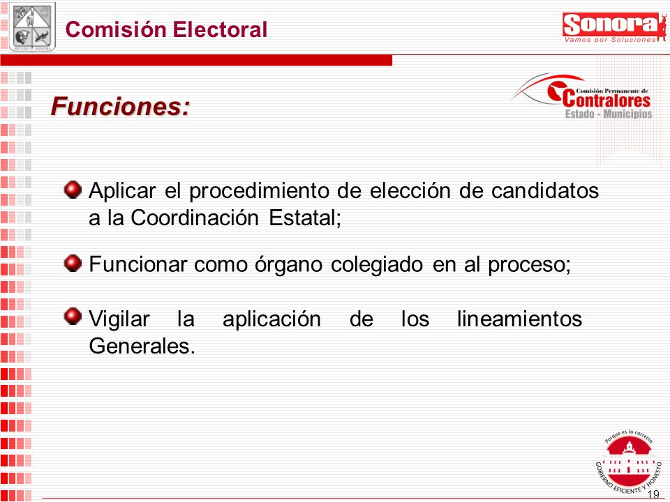 19 Comisión Electoral Funciones: Aplicar el procedimiento de elección de candidatos a la Coordinación Estatal; Funcionar como órgano colegiado en al proceso; Vigilar la aplicación de los lineamientos Generales.
