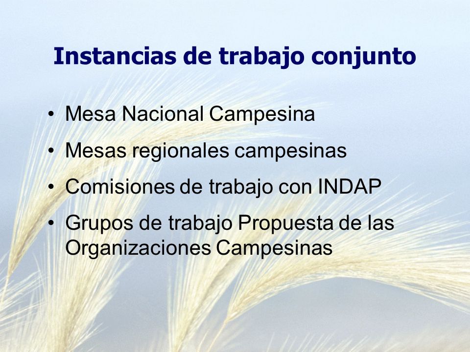 Instancias de trabajo conjunto Mesa Nacional Campesina Mesas regionales campesinas Comisiones de trabajo con INDAP Grupos de trabajo Propuesta de las Organizaciones Campesinas