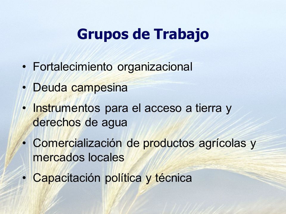 Grupos de Trabajo Fortalecimiento organizacional Deuda campesina Instrumentos para el acceso a tierra y derechos de agua Comercialización de productos agrícolas y mercados locales Capacitación política y técnica