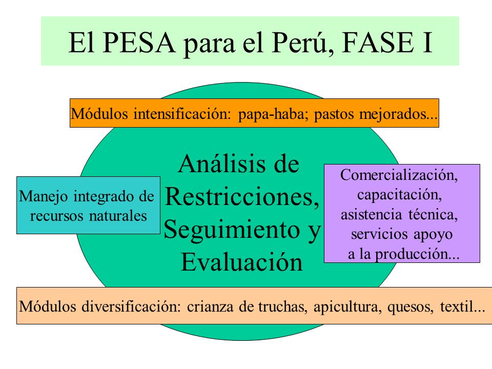 El PESA para el Perú, FASE I Análisis de Restricciones, Seguimiento y Evaluación Módulos intensificación: papa-haba; pastos mejorados...