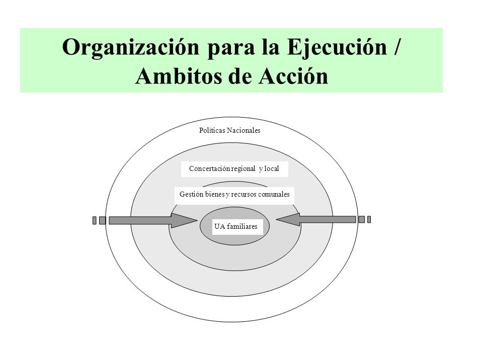 Organización para la Ejecución / Ambitos de Acción Concertación regional y local Gestión bienes y recursos comunales UA familiares Políticas Nacionales