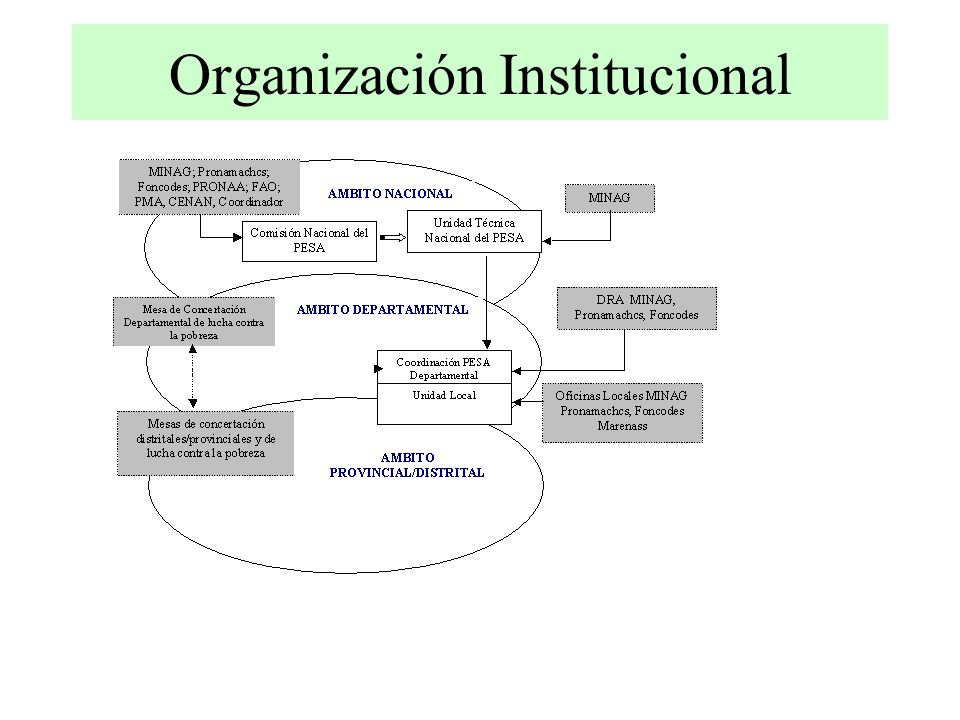 Organización Institucional