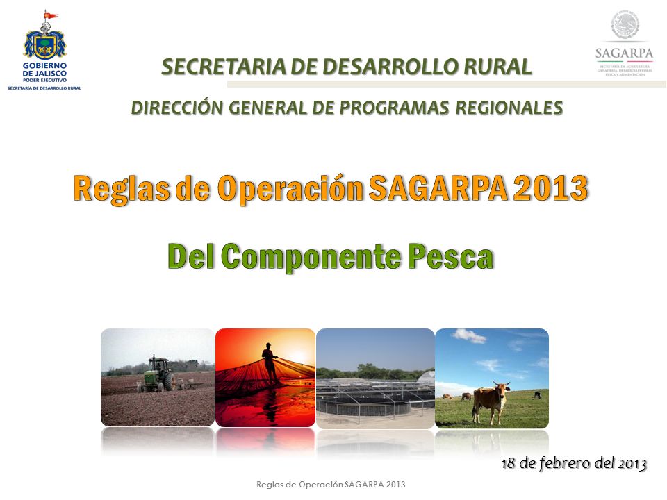 Reglas de Operación SAGARPA 2013 SECRETARIA DE DESARROLLO RURAL DIRECCIÓN GENERAL DE PROGRAMAS REGIONALES 18 de febrero del 2013