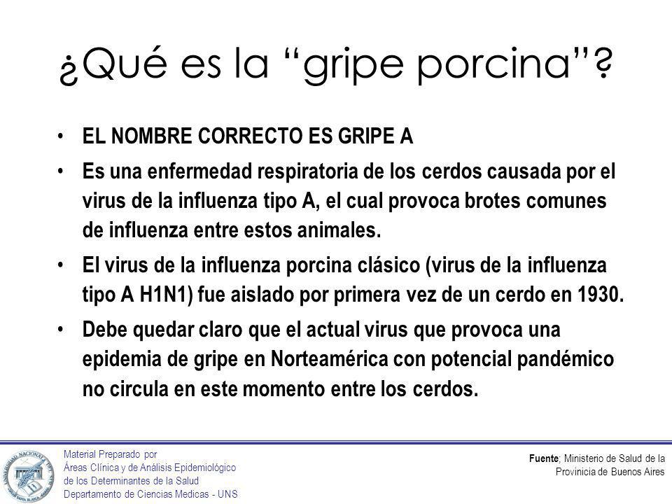 Fuente ; Ministerio de Salud de la Provinicia de Buenos Aires Material Preparado por Áreas Clínica y de Análisis Epidemiológico de los Determinantes de la Salud Departamento de Ciencias Medicas - UNS ¿Qué es la gripe porcina.