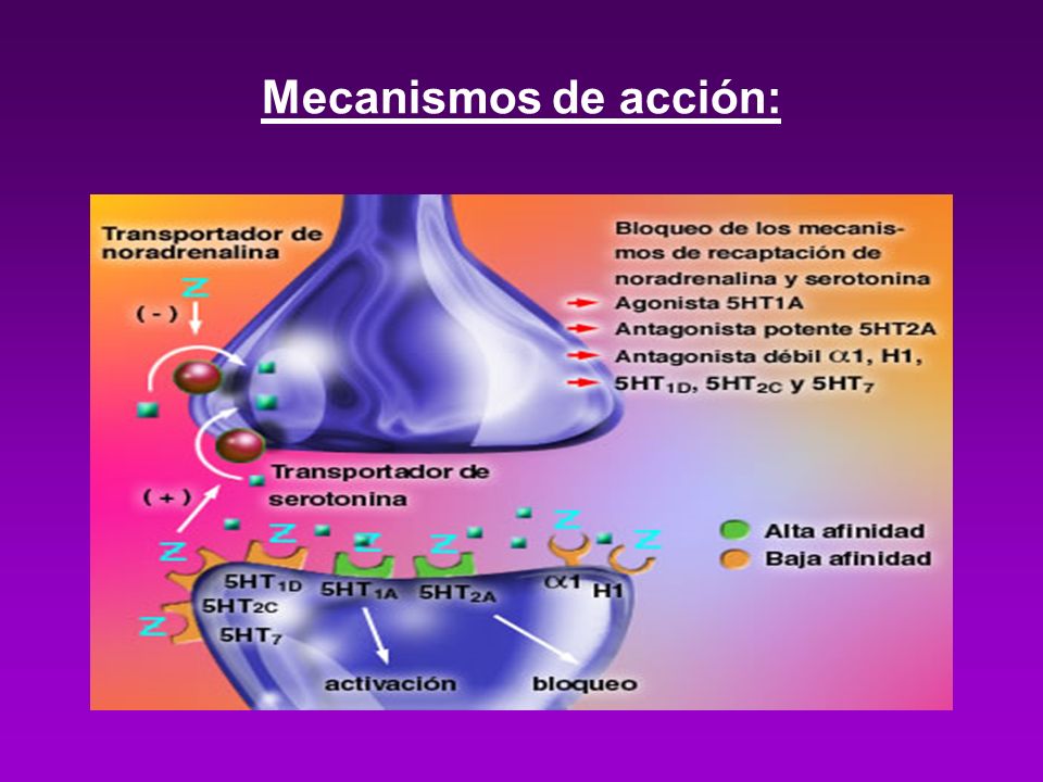 diazepam ppt mecanismo de del accion